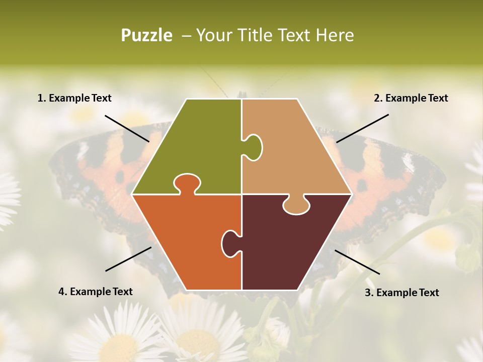 Field Flower Fields Summer PowerPoint Template