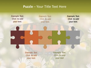 Field Flower Fields Summer PowerPoint Template