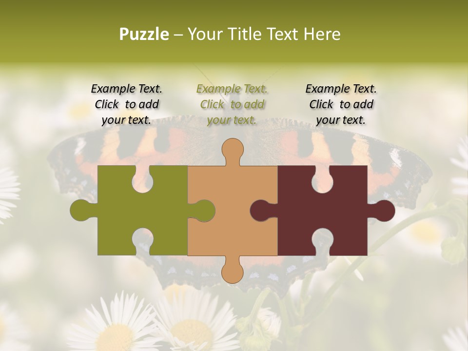 Field Flower Fields Summer PowerPoint Template