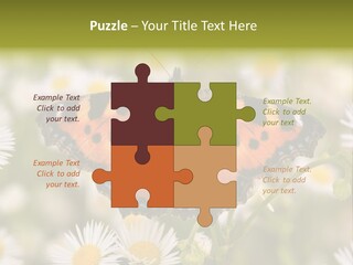 Field Flower Fields Summer PowerPoint Template