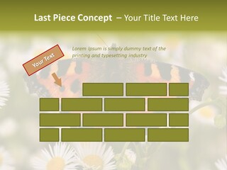 Field Flower Fields Summer PowerPoint Template