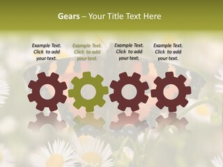 Field Flower Fields Summer PowerPoint Template