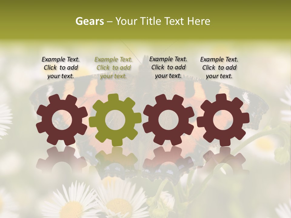 Field Flower Fields Summer PowerPoint Template