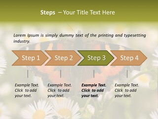 Field Flower Fields Summer PowerPoint Template