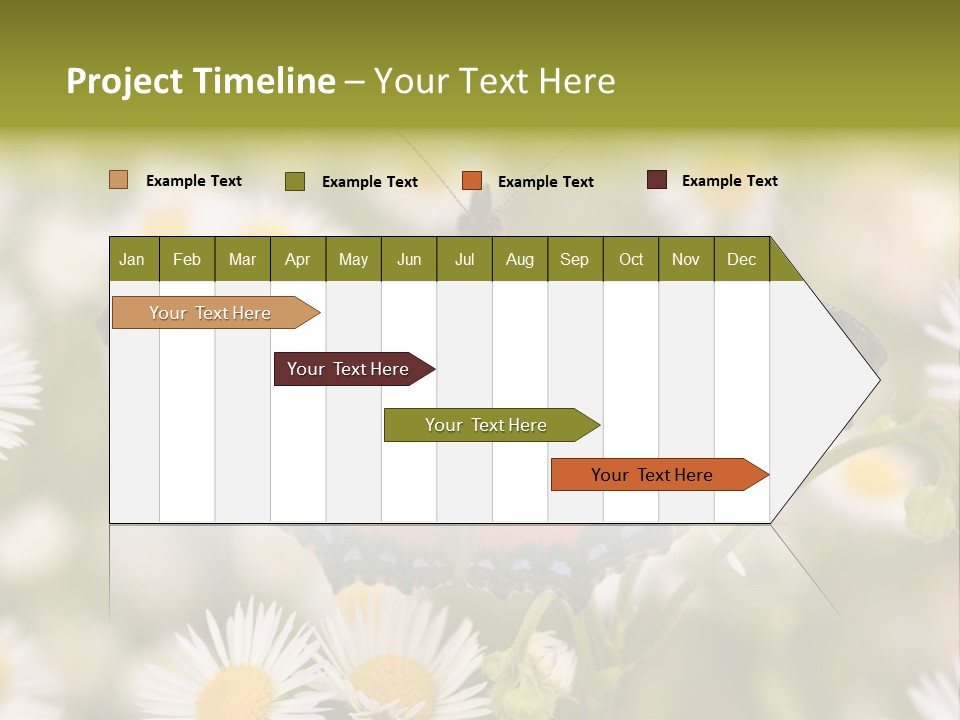 Field Flower Fields Summer PowerPoint Template