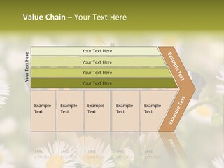 Field Flower Fields Summer PowerPoint Template