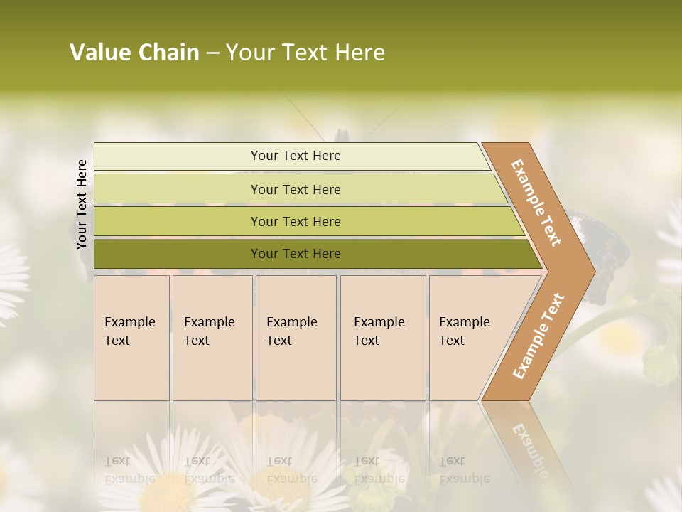 Field Flower Fields Summer PowerPoint Template