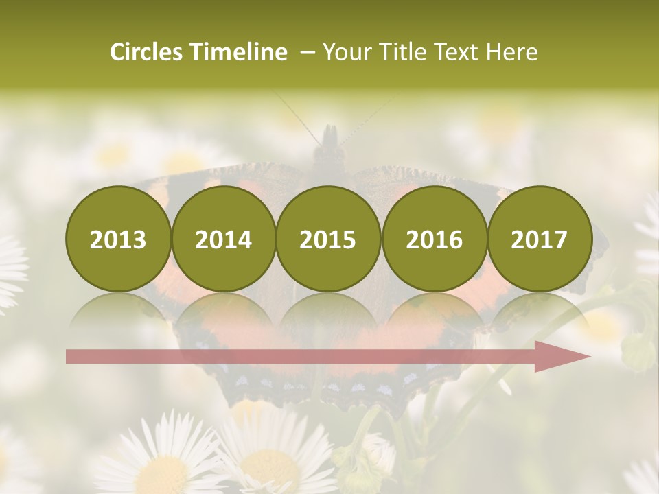 Field Flower Fields Summer PowerPoint Template
