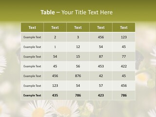 Field Flower Fields Summer PowerPoint Template