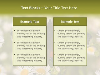 Field Flower Fields Summer PowerPoint Template
