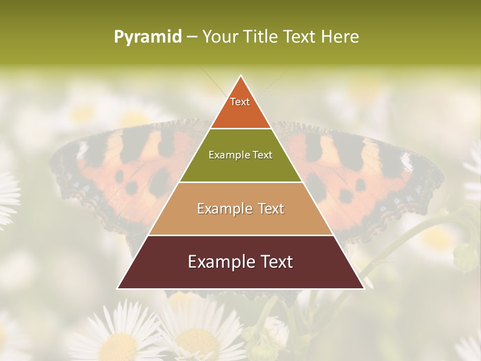 Field Flower Fields Summer PowerPoint Template