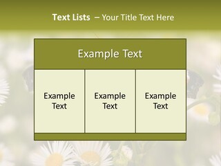 Field Flower Fields Summer PowerPoint Template