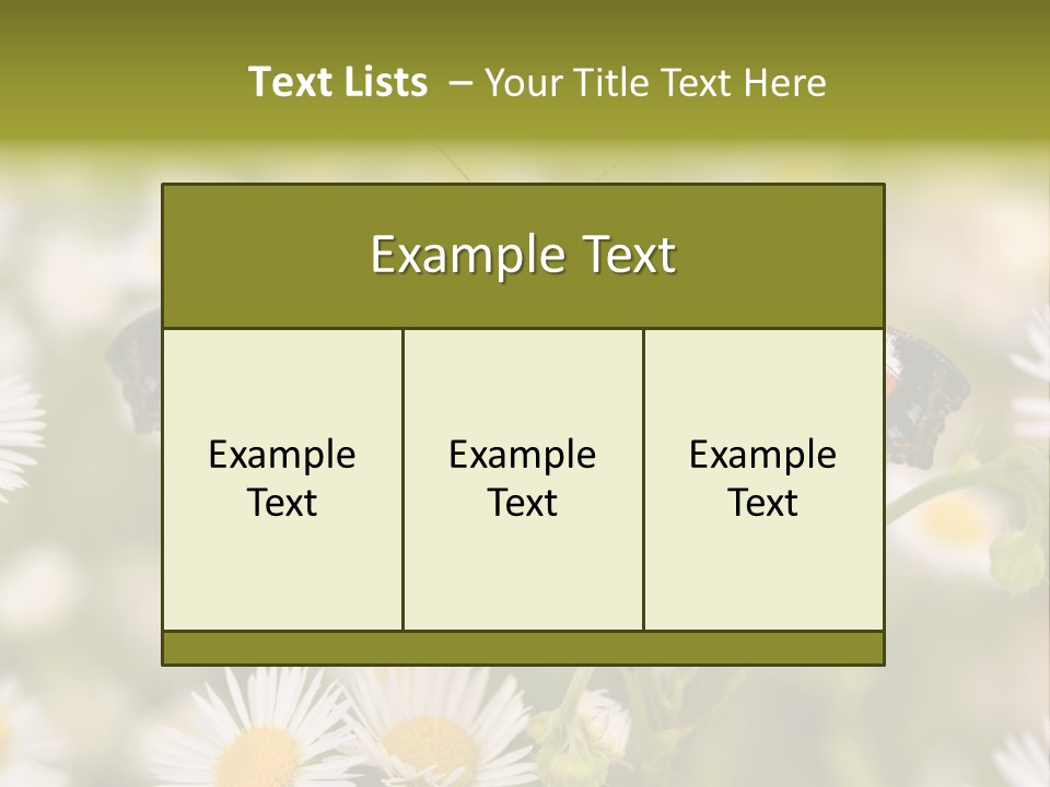 Field Flower Fields Summer PowerPoint Template