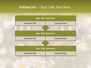Field Flower Fields Summer PowerPoint Template