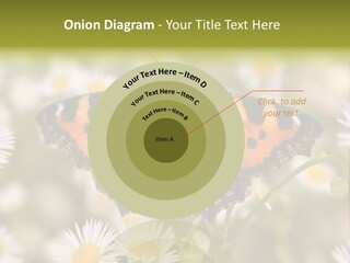 Field Flower Fields Summer PowerPoint Template