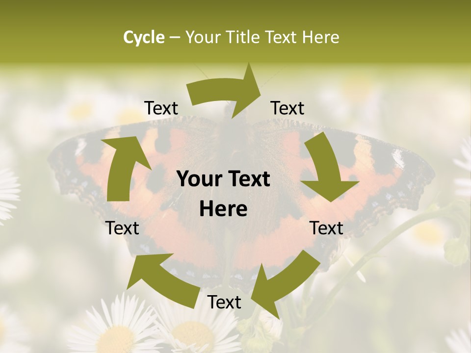 Field Flower Fields Summer PowerPoint Template