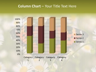 Field Flower Fields Summer PowerPoint Template