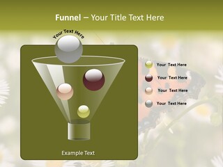 Field Flower Fields Summer PowerPoint Template