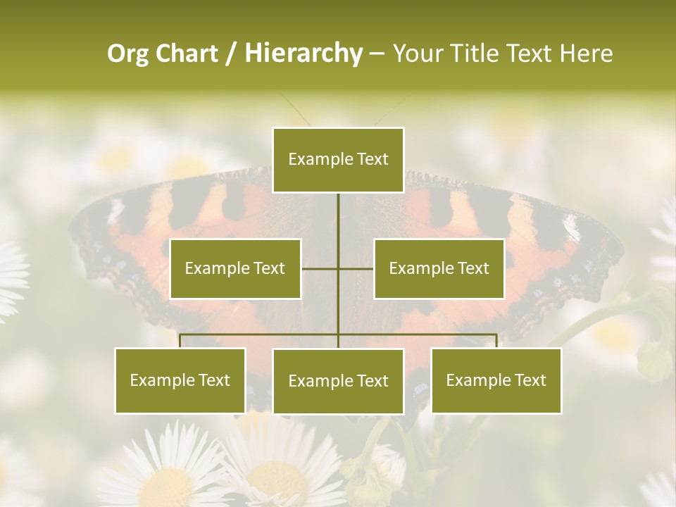 Field Flower Fields Summer PowerPoint Template
