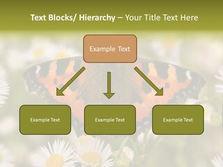 Field Flower Fields Summer PowerPoint Template