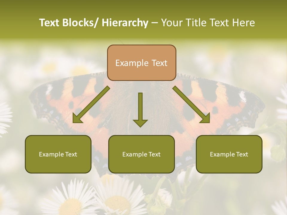 Field Flower Fields Summer PowerPoint Template