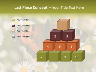 Field Flower Fields Summer PowerPoint Template