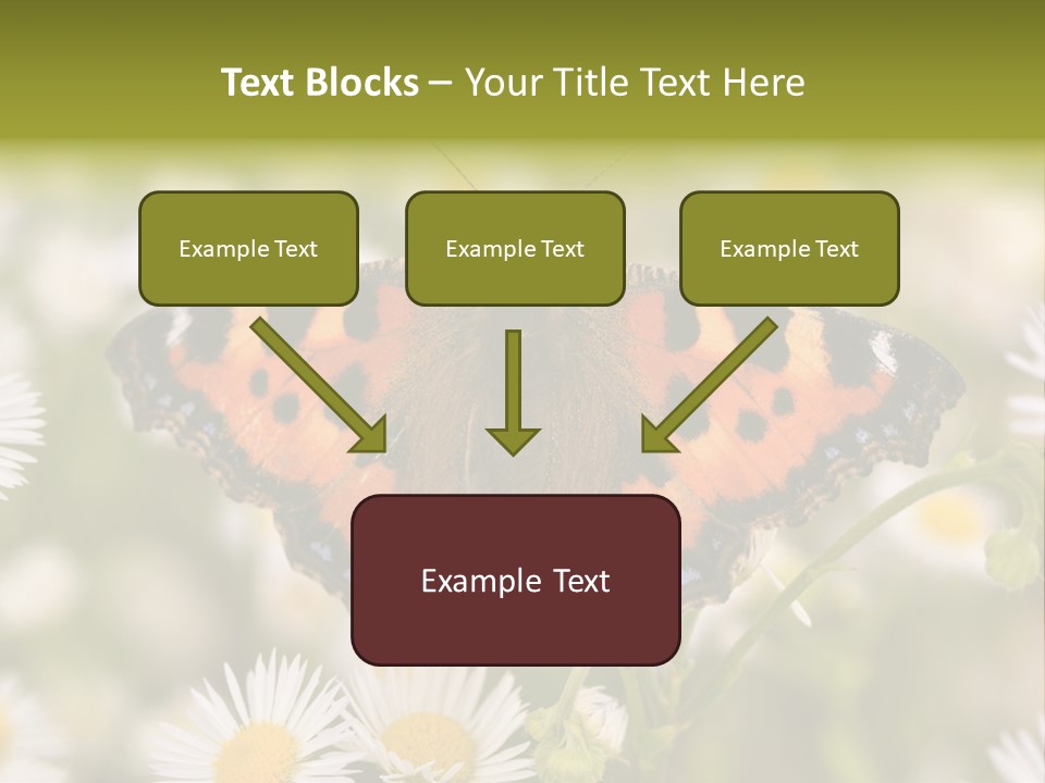 Field Flower Fields Summer PowerPoint Template