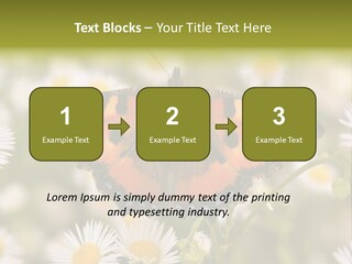 Field Flower Fields Summer PowerPoint Template