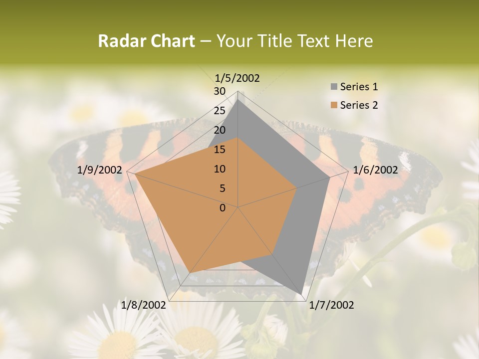 Field Flower Fields Summer PowerPoint Template