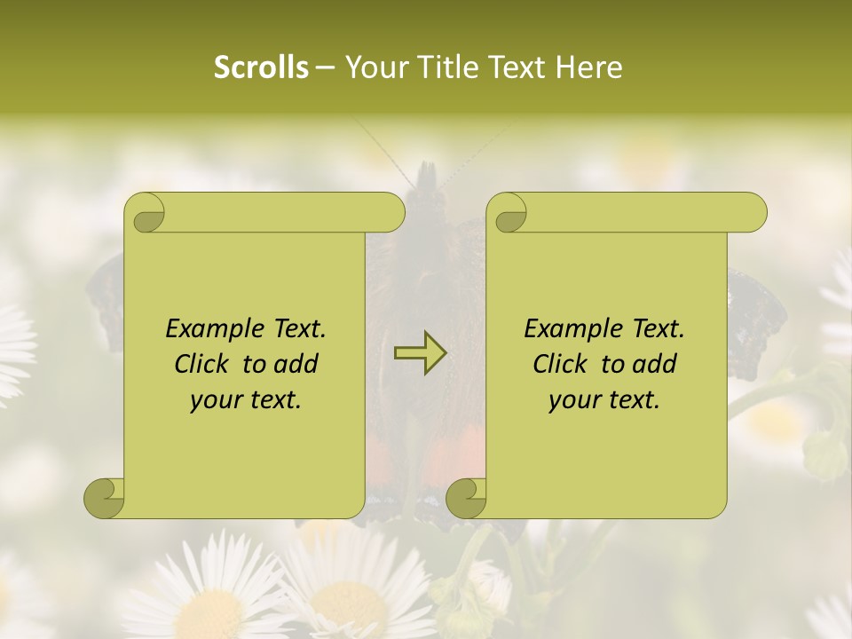 Field Flower Fields Summer PowerPoint Template