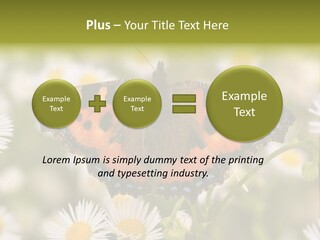 Field Flower Fields Summer PowerPoint Template