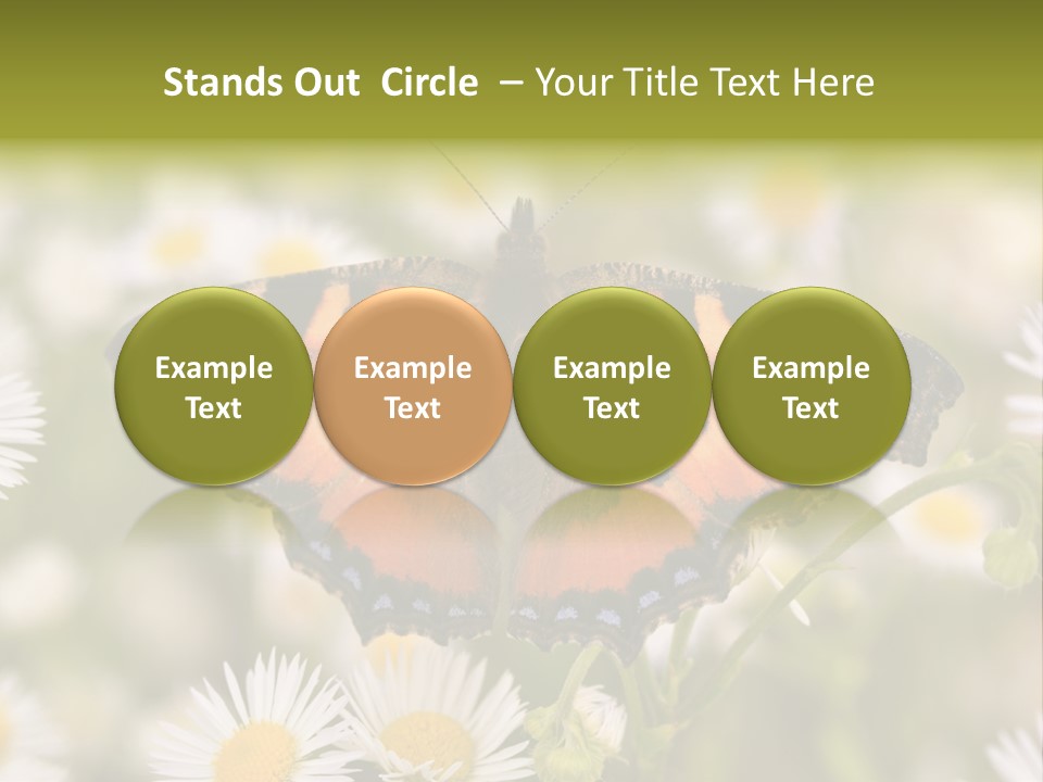Field Flower Fields Summer PowerPoint Template