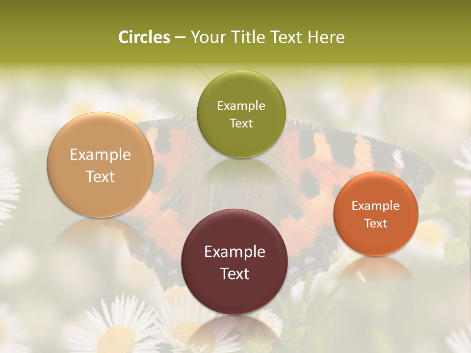 Field Flower Fields Summer PowerPoint Template