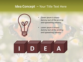 Field Flower Fields Summer PowerPoint Template