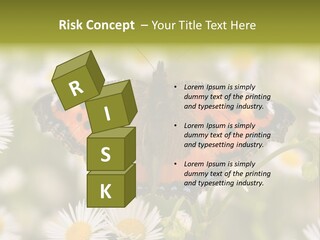 Field Flower Fields Summer PowerPoint Template