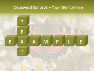 Field Flower Fields Summer PowerPoint Template