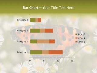 Field Flower Fields Summer PowerPoint Template