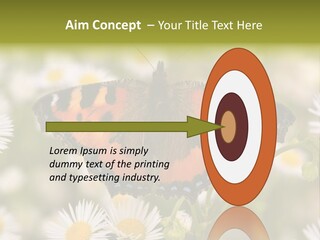 Field Flower Fields Summer PowerPoint Template