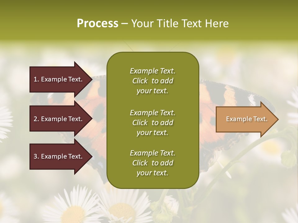 Field Flower Fields Summer PowerPoint Template
