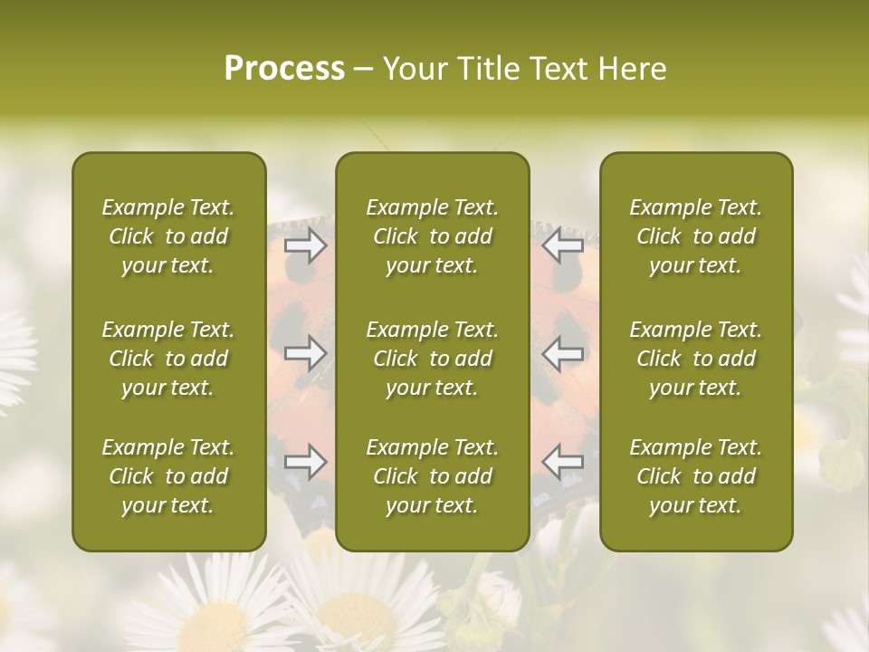 Field Flower Fields Summer PowerPoint Template
