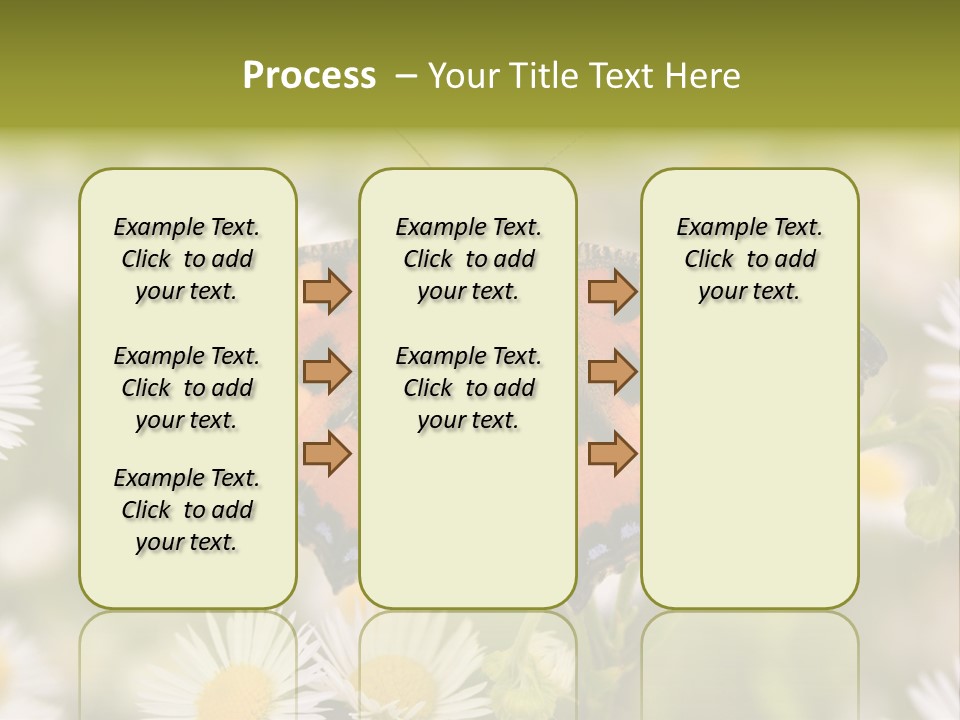 Field Flower Fields Summer PowerPoint Template