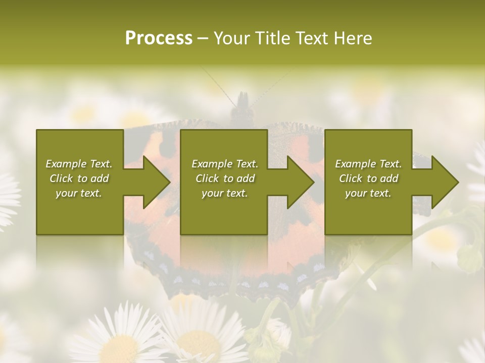 Field Flower Fields Summer PowerPoint Template