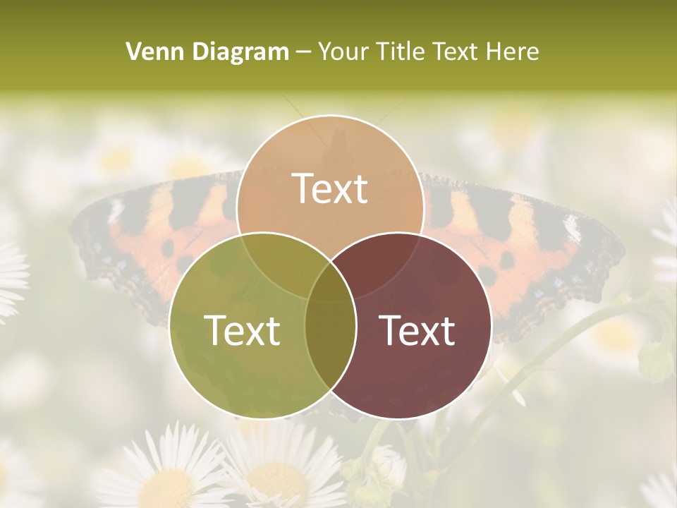 Field Flower Fields Summer PowerPoint Template