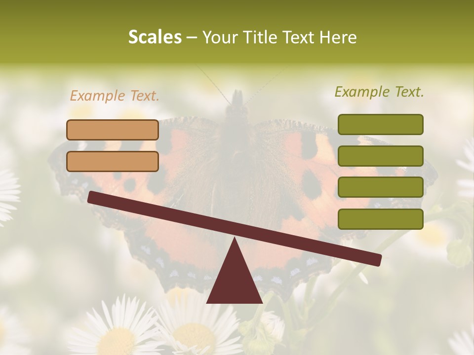 Field Flower Fields Summer PowerPoint Template