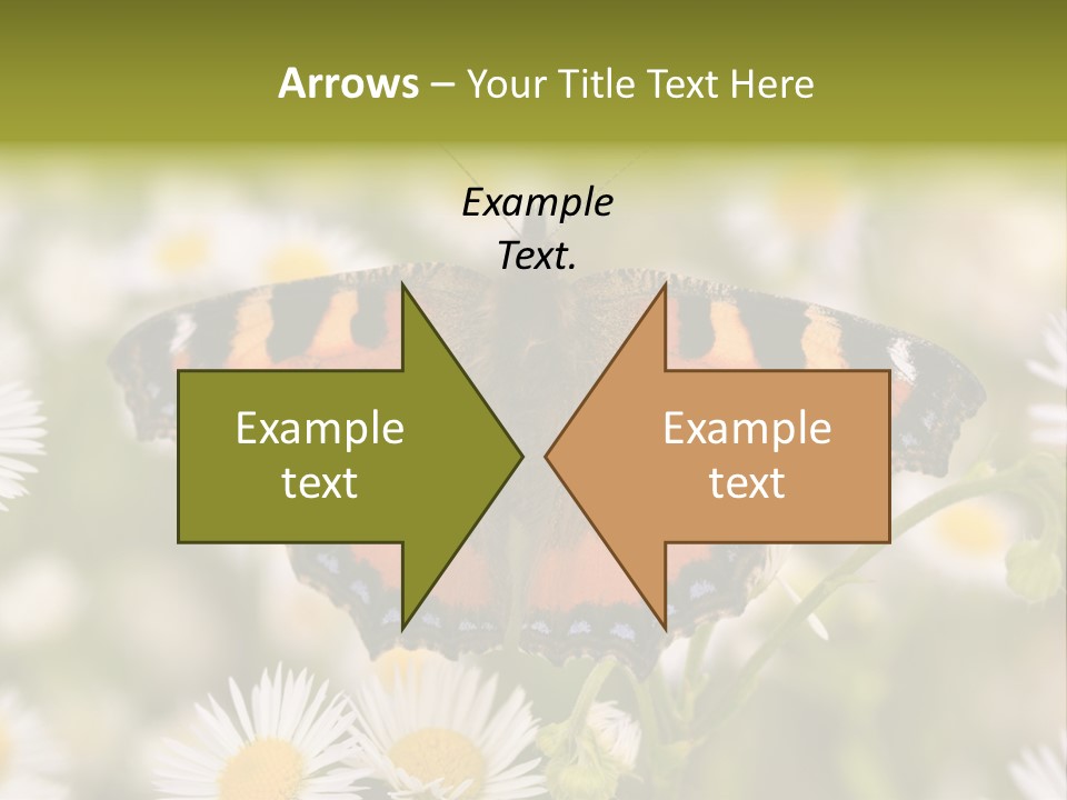 Field Flower Fields Summer PowerPoint Template