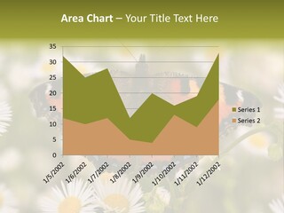 Field Flower Fields Summer PowerPoint Template