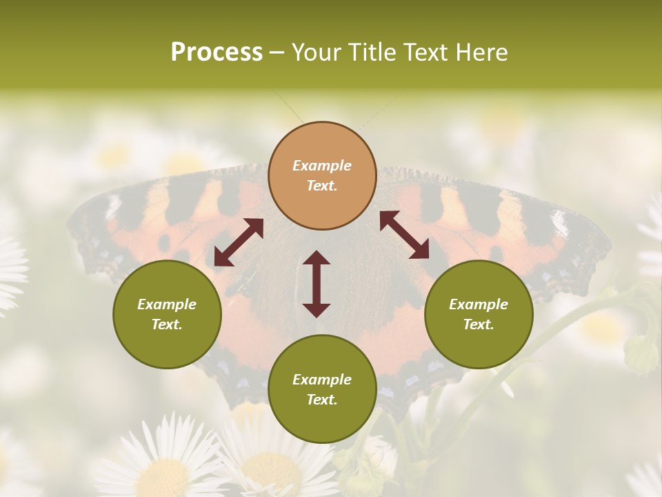 Field Flower Fields Summer PowerPoint Template