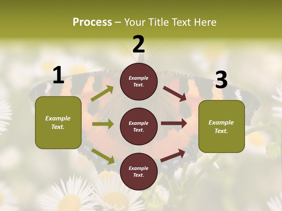 Field Flower Fields Summer PowerPoint Template
