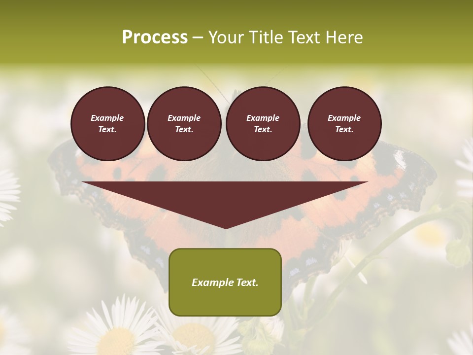 Field Flower Fields Summer PowerPoint Template