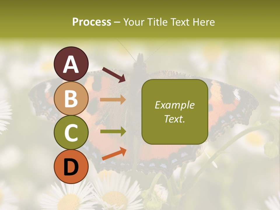 Field Flower Fields Summer PowerPoint Template